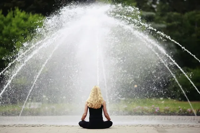 21SUM03 Mindfulness-Based Emotional Intelligence and Leadership