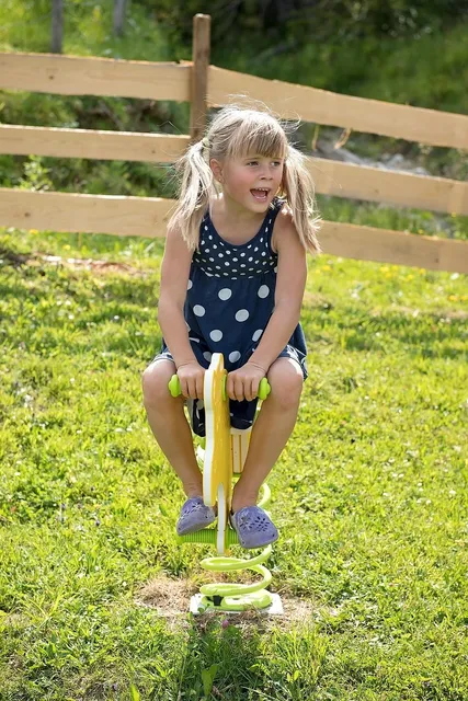 21SPR31 Beginners Seesaw for Educators